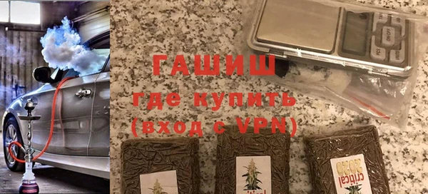 индика Богородицк